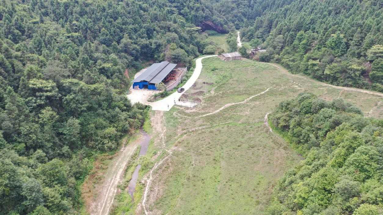 位於群山之中的養牛場。李金攝