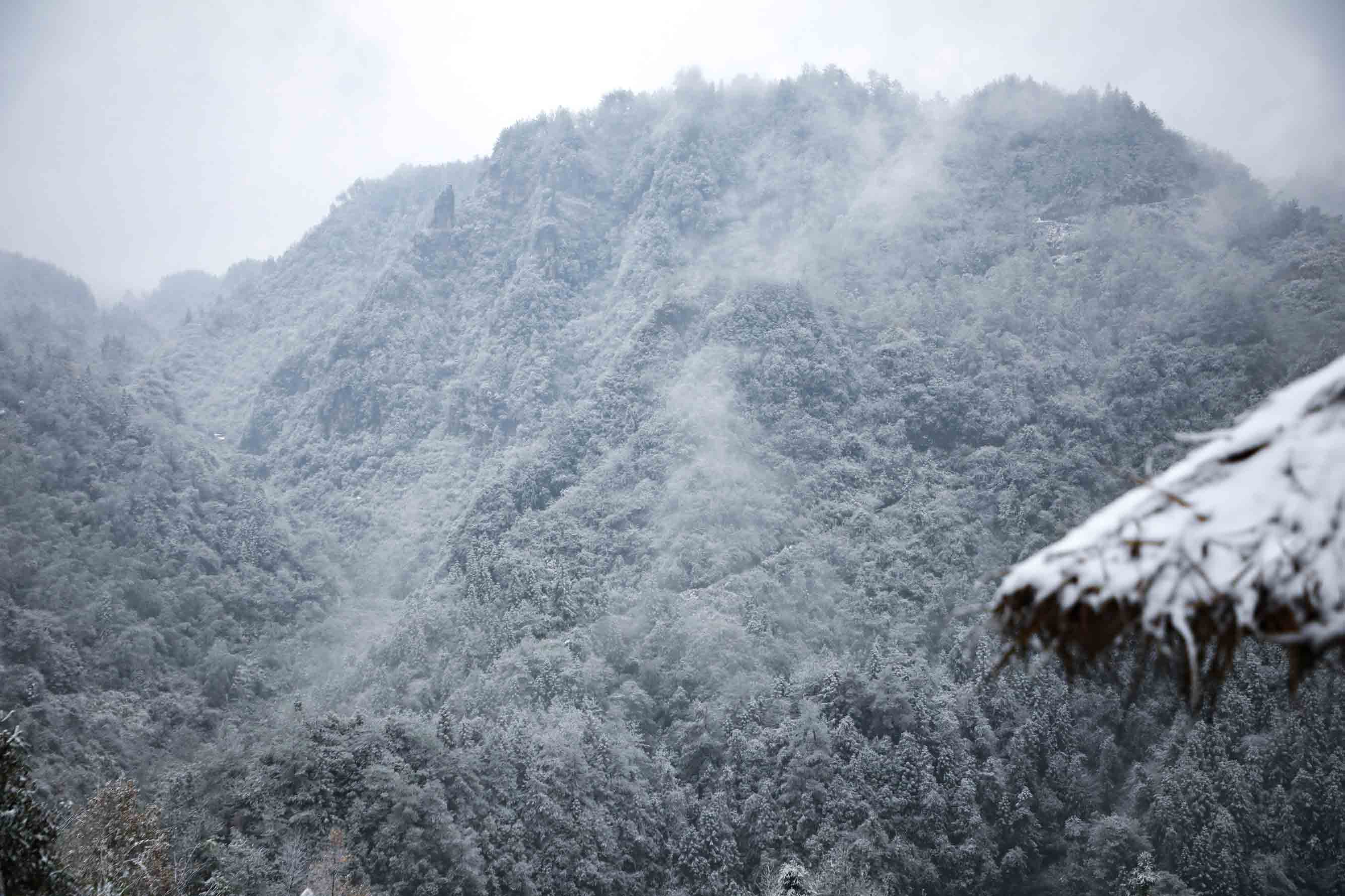 深山里一片白雪茫茫。 梁洁宇摄