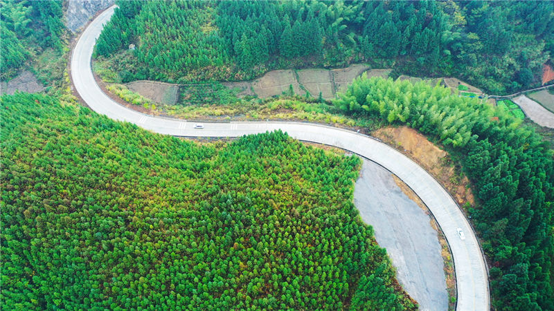 国道234线永州市新田县大瑶山层林尽染，公路沿途景美如画。刘贵雄摄