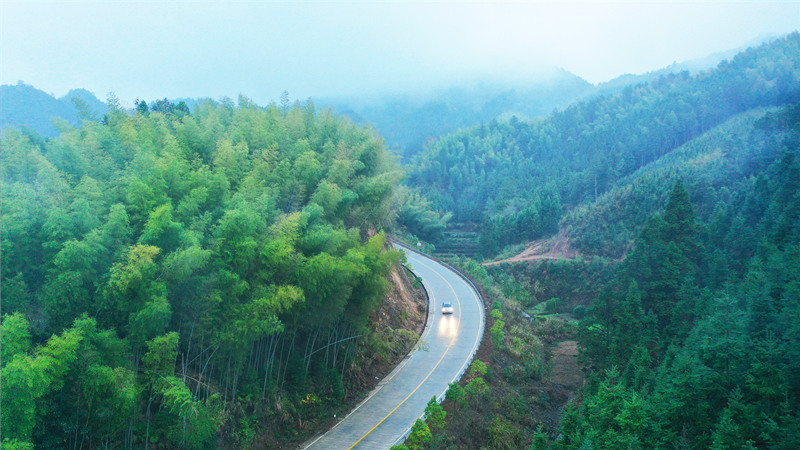 国道234线永州市新田县大瑶山层林尽染，公路沿途景美如画。刘贵雄摄