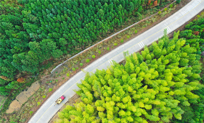国道234线永州市新田县大瑶山层林尽染，公路沿途景美如画。刘贵雄摄