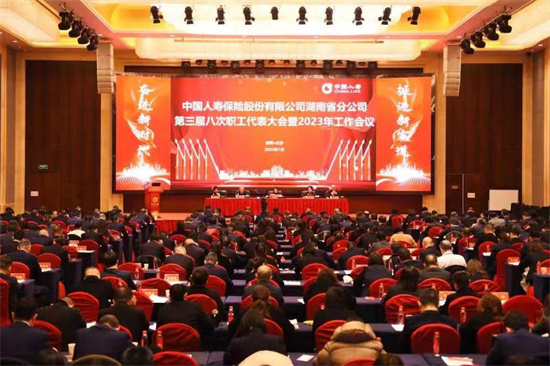 中国人寿保险股份有限公司湖南省分公司全省系统第三届八次职工代表大会暨2023年工作会议。企业供图