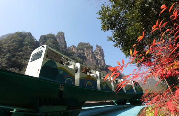 游人乘十里画廊观光电车在湖南张家界国家森林公园游玩。（吴勇兵摄）