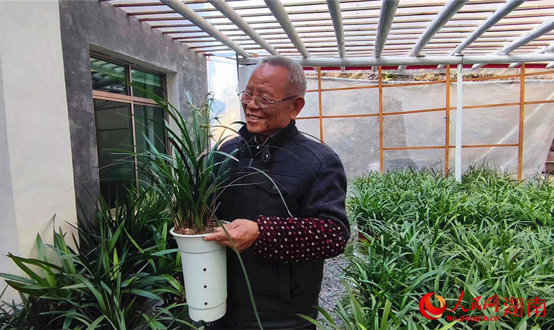 兰花种植户张沛青手捧一盆兰花喜笑颜开。人民网记者 刘宾摄
