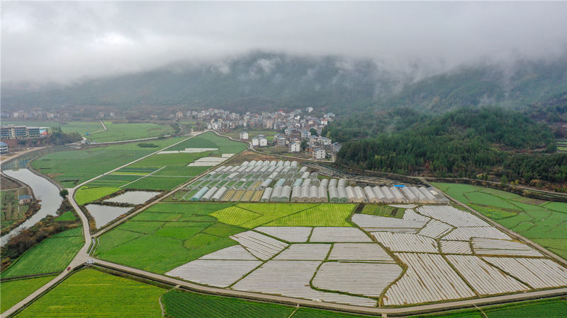 春雨过后，富硒菜地、高标准大棚、生态养殖池塘与河流、村庄相互交融。钟伟锋摄