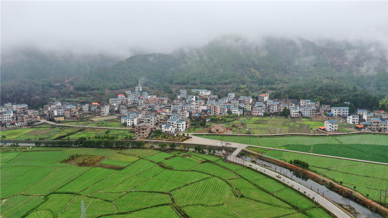 春雨过后，富硒菜地、高标准大棚、生态养殖池塘与河流、村庄相互交融。钟伟锋摄