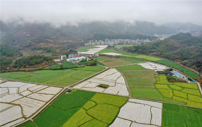 春雨过后，富硒菜地、高标准大棚、生态养殖池塘与河流、村庄相互交融。钟伟锋摄