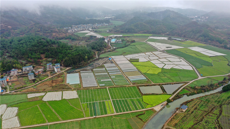 春雨过后，富硒菜地、高标准大棚、生态养殖池塘与河流、村庄相互交融。钟伟锋摄