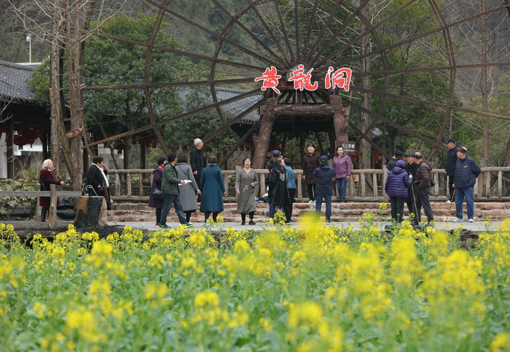 图一：2月17日，游人在张家界市武陵源区黄龙洞景区的油菜花间游玩。吴勇兵摄