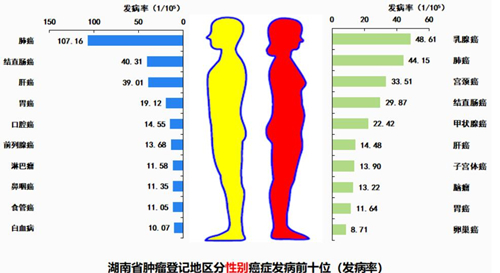 湖南省肿瘤登记地区分性别癌症发病前十位（发病率）