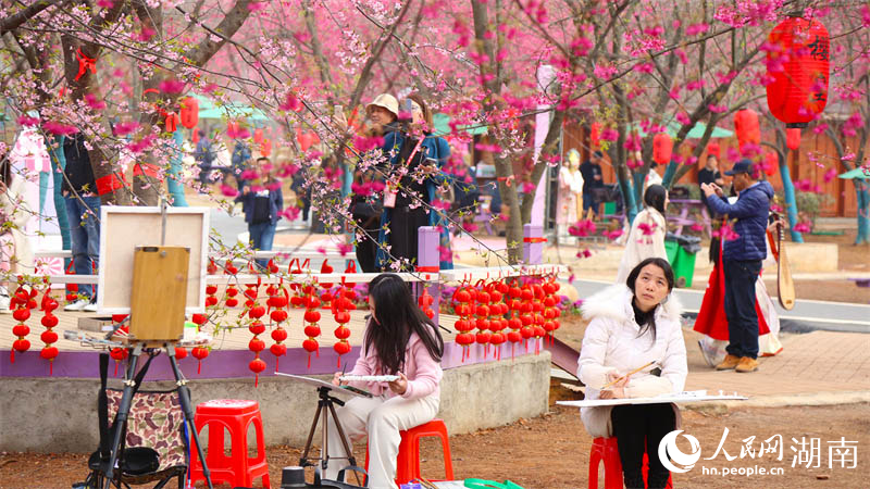 桂阳樱花园的春景，吸引游客前来观赏。人民网记者 李芳森摄