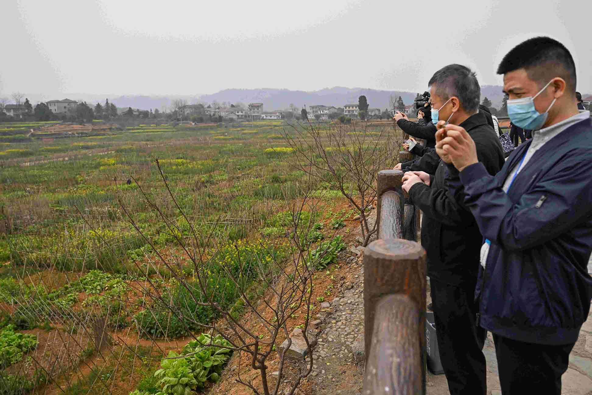与会人员在沅陵太安社区国家以工代赈太安社区配套项目（微菜园）考察 潘雨摄