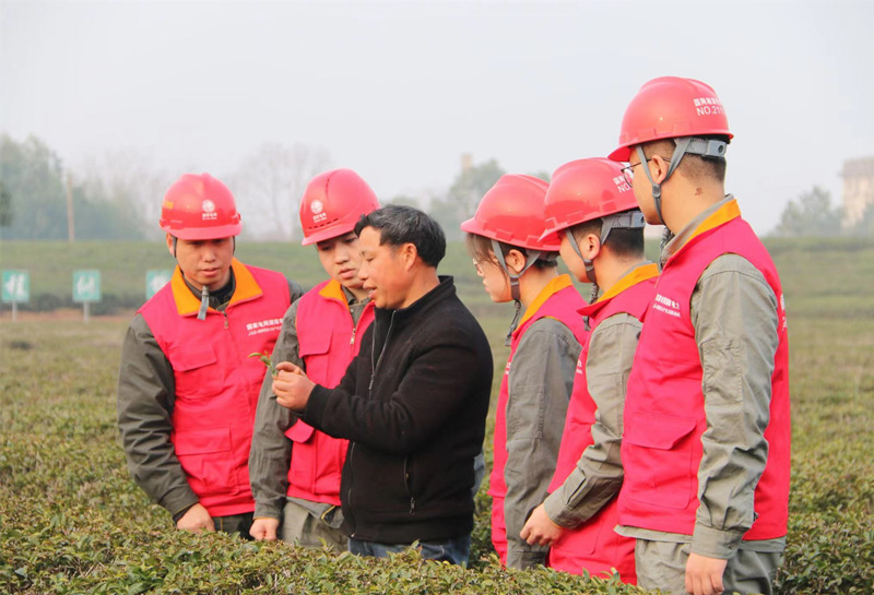 国网湘潭供电公司：学雷锋情系茶农 “电烤茶”十里飘香。单位供图