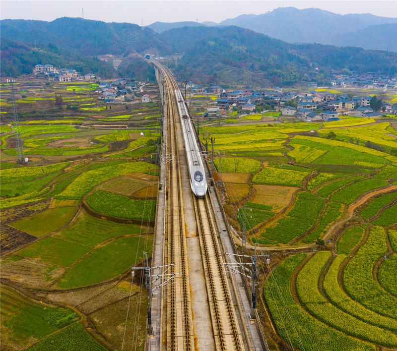 沪昆高铁列车穿越在中方县新建镇的油菜花花海。田文国摄