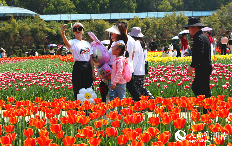 游人踏春赏花。人民网记者 刘宾摄