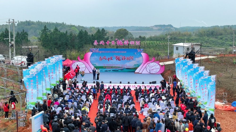 2023湘江新區花鄉生活節之湘陰桃李芬芳踏春季活動現場。 單位供圖