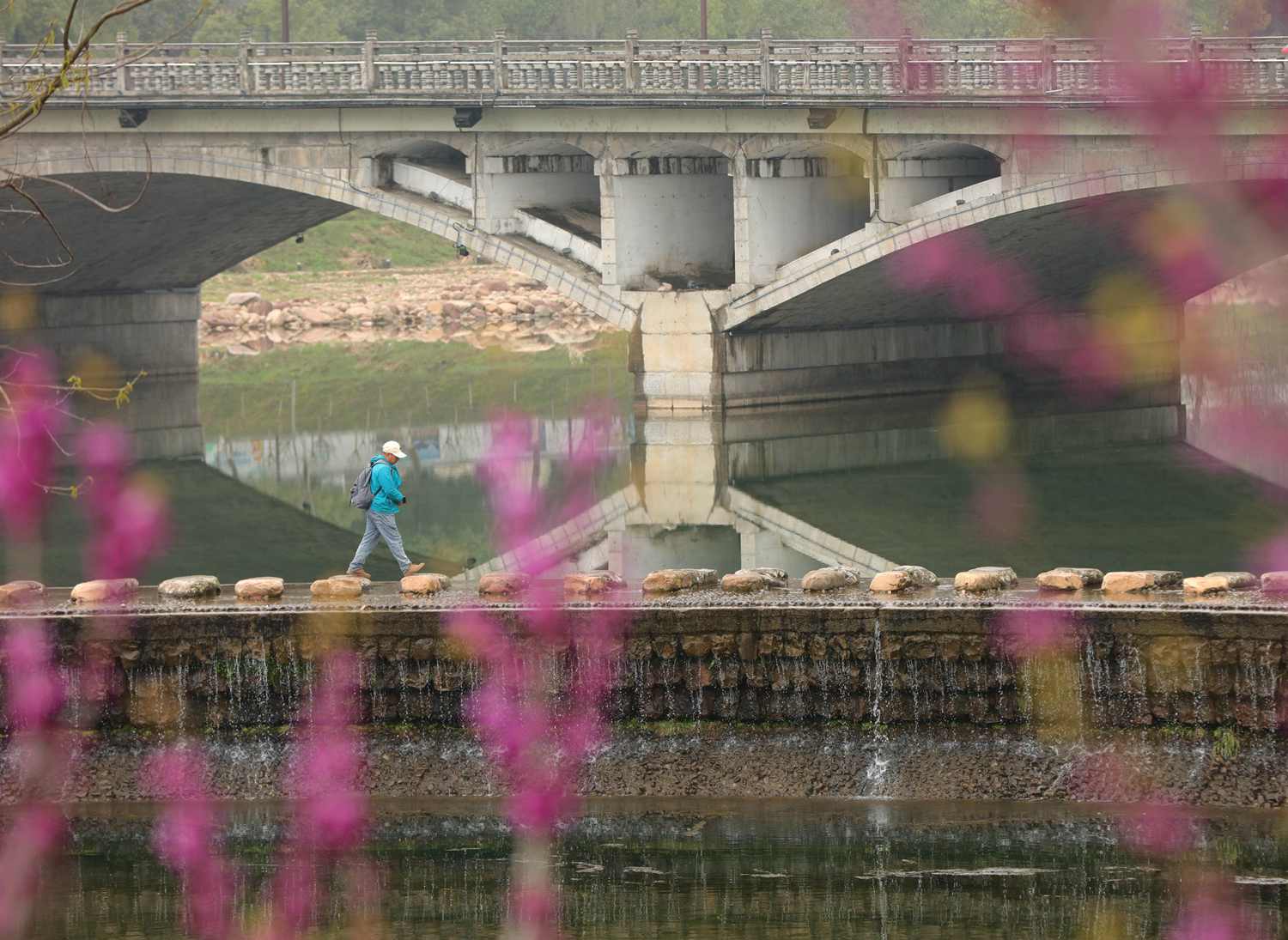 3月20日，人们在张家界市武陵源城区索溪河的亲水坝上行走。吴勇兵摄