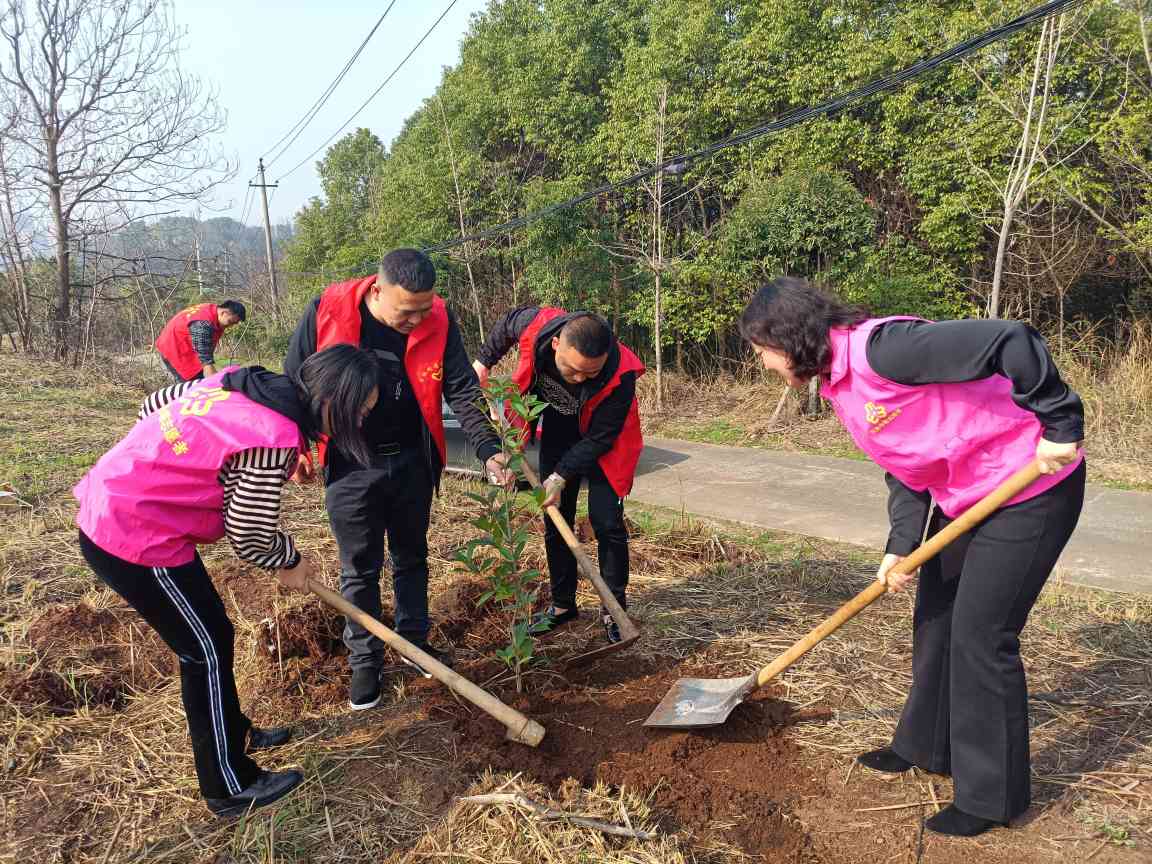 双清区各族干部群众共建“团结林”（单位供图）