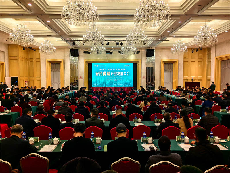 会议现场。人民网记者 李芳森摄