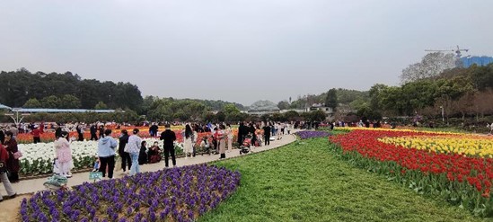 游客参观花海。单位供图
