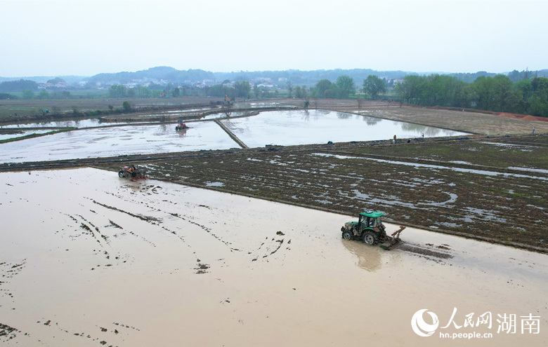 长沙县高标准农田建设现场。人民网记者 刘宾摄