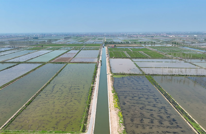 西湖管理区正在实施的河湖连通工程将为全区春耕打下坚实基础。单位供图