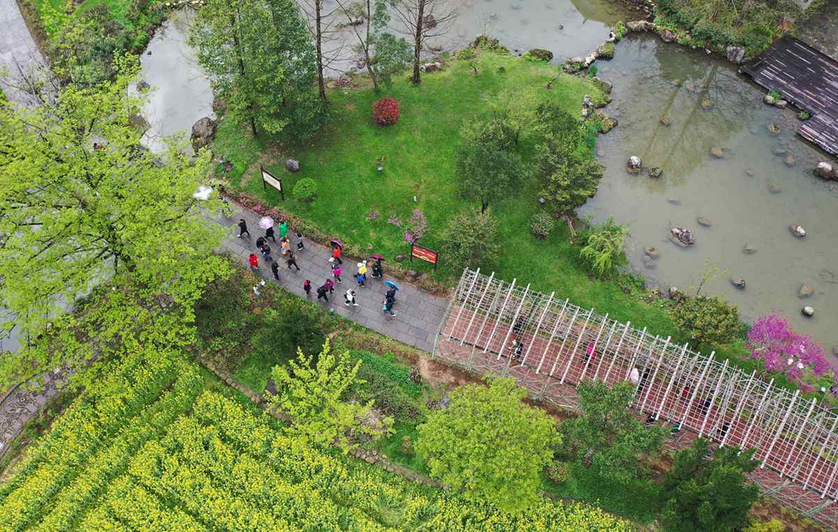 游人在湖南張家界市黃龍洞景區踏青游玩。吳勇兵攝