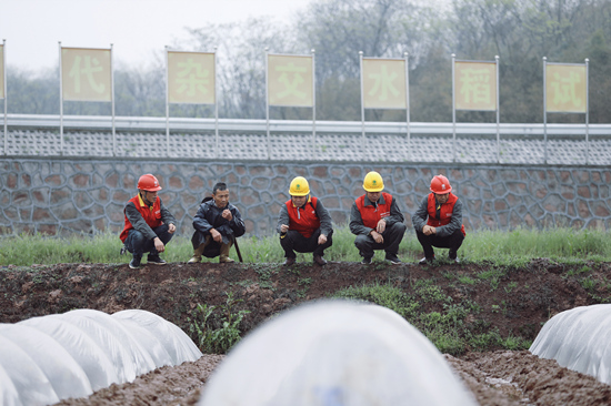 國網衡陽供電公司員工在衡南縣袁隆平雜交水稻試驗基地了解育秧情況和用電需求。受訪單位供圖