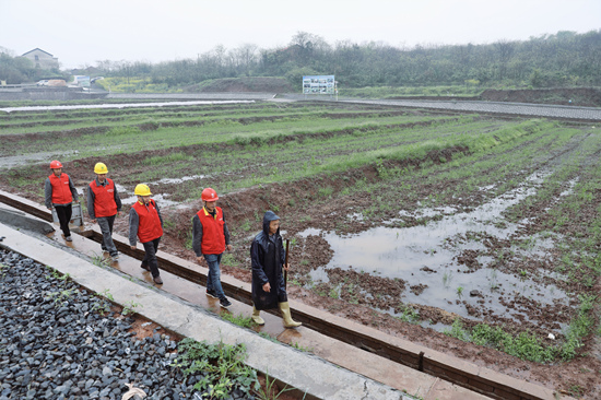 国网衡阳供电公司员工在衡南县袁隆平杂交水稻试验基地了解育秧情况和用电需求。受访单位供图