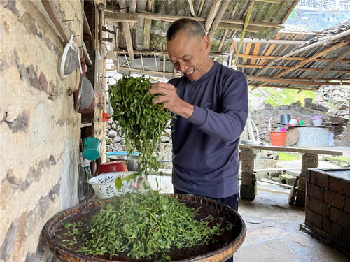炒茶。受访单位供图