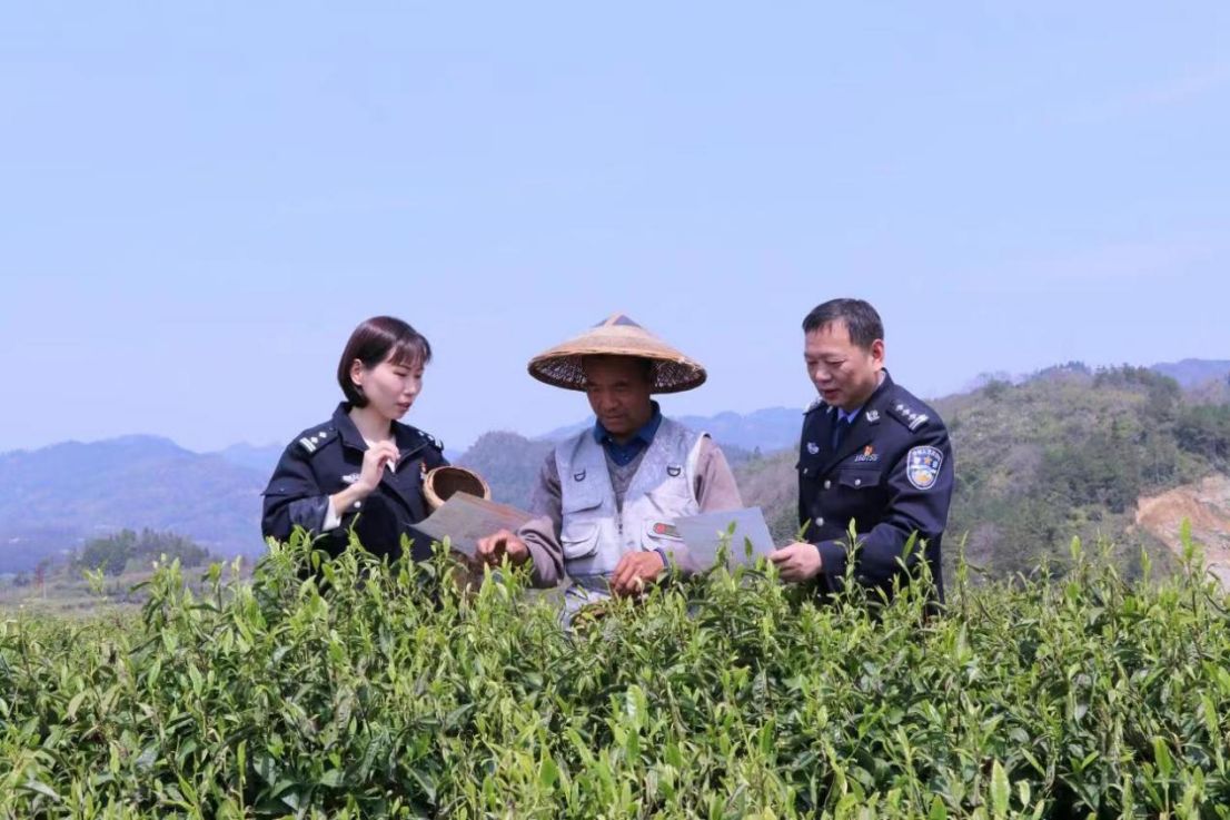 民警向茶農了解生產銷售情況。 單位供圖.