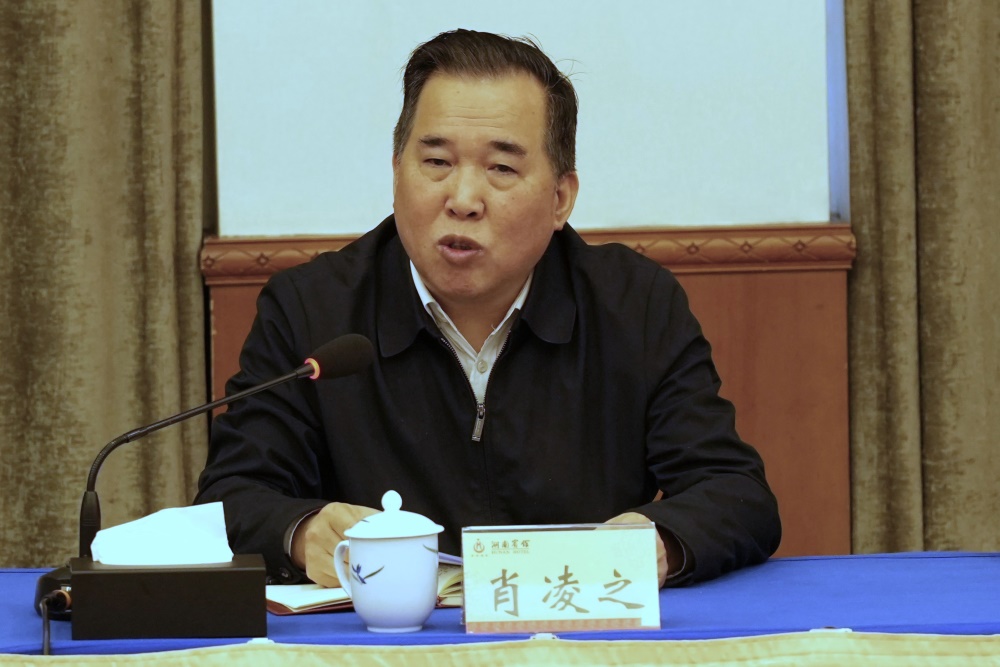 省委宣傳部副部長、一級巡視員肖凌之講話。熊方杰攝