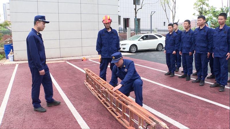 实战化训练现场。单位供图