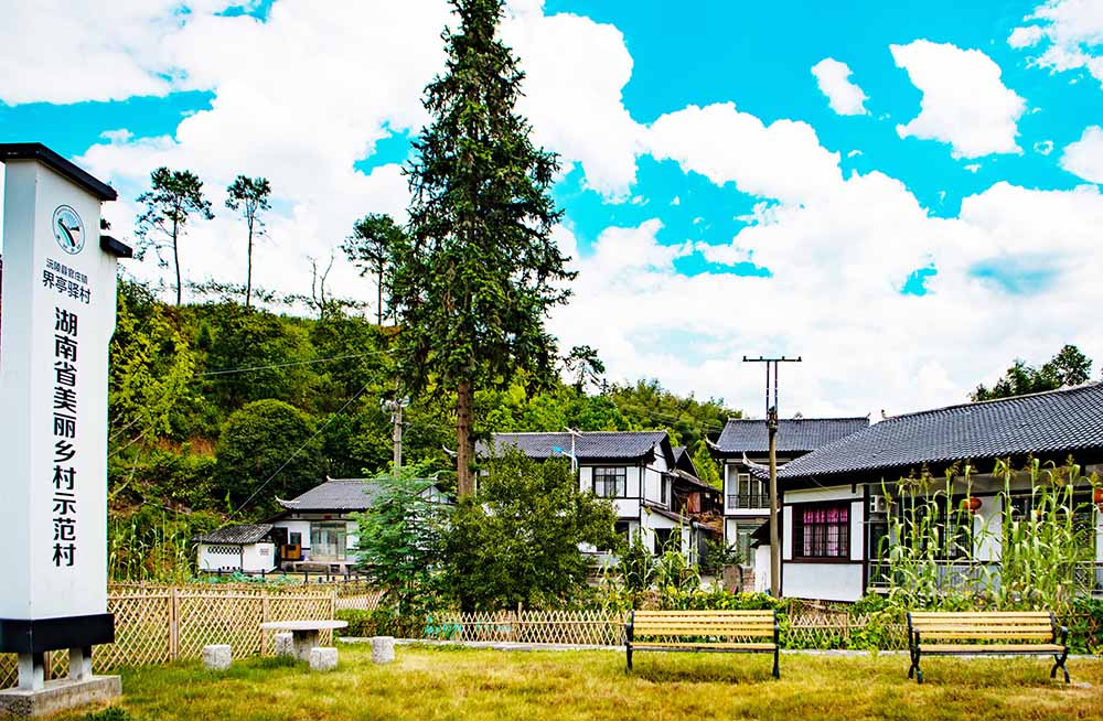 湖南省美丽乡村示范村——沅陵县官镇界亭驿村。向琦 摄