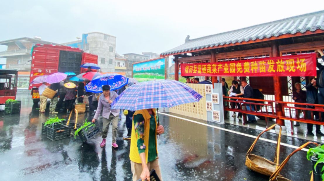 太平洲村富硒蔬菜基地交易現場。單位供圖