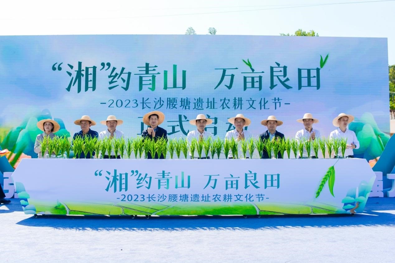 文化节活动现场。单位供图