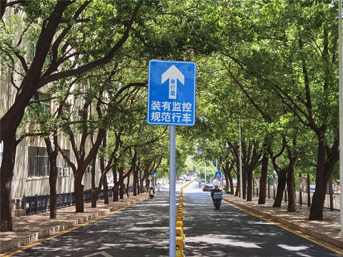 路中央安裝隔離護欄。受訪單位供圖