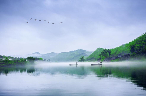 竹海碧波。受访单位供图