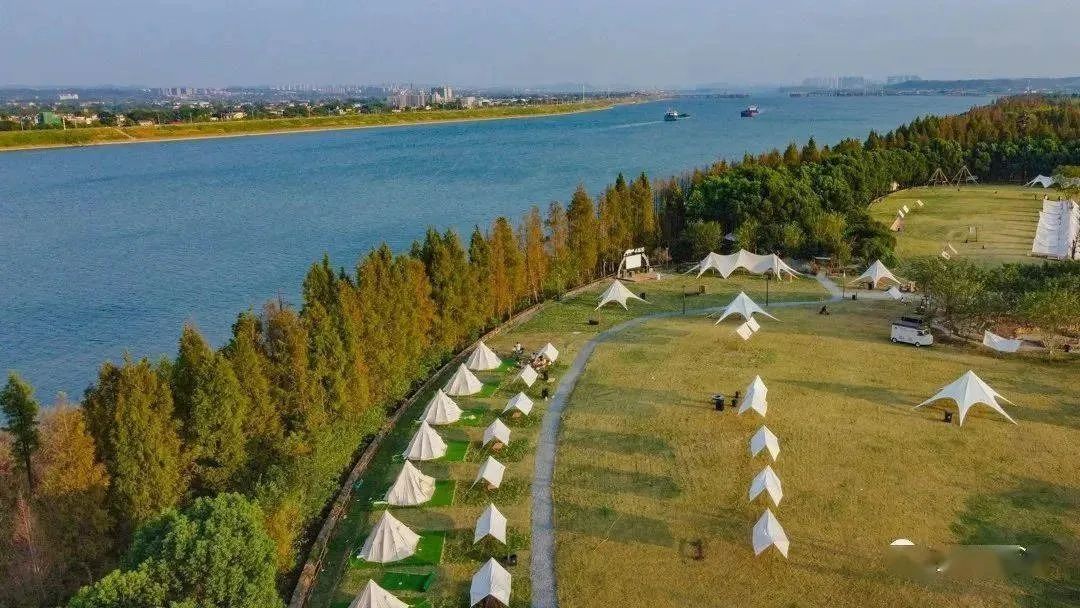 小狐狸营地。单位供图