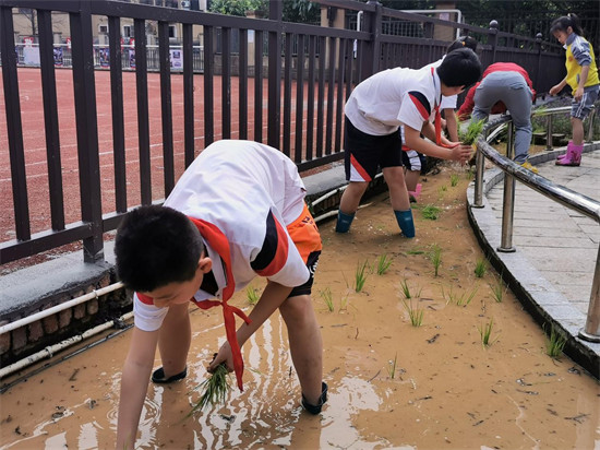 长沙青园中信小学校园湿地智慧劳动园心理减压活动纪实2。单位供图