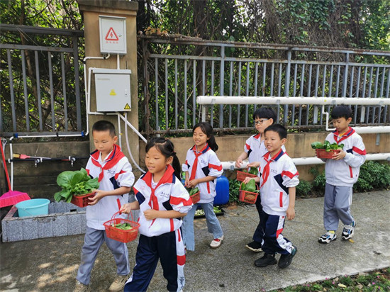 长沙青园中信小学校园湿地智慧劳动园心理减压活动纪实4。单位供图