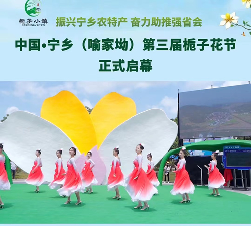 往届栀子花节开幕式盛况。受访单位供图