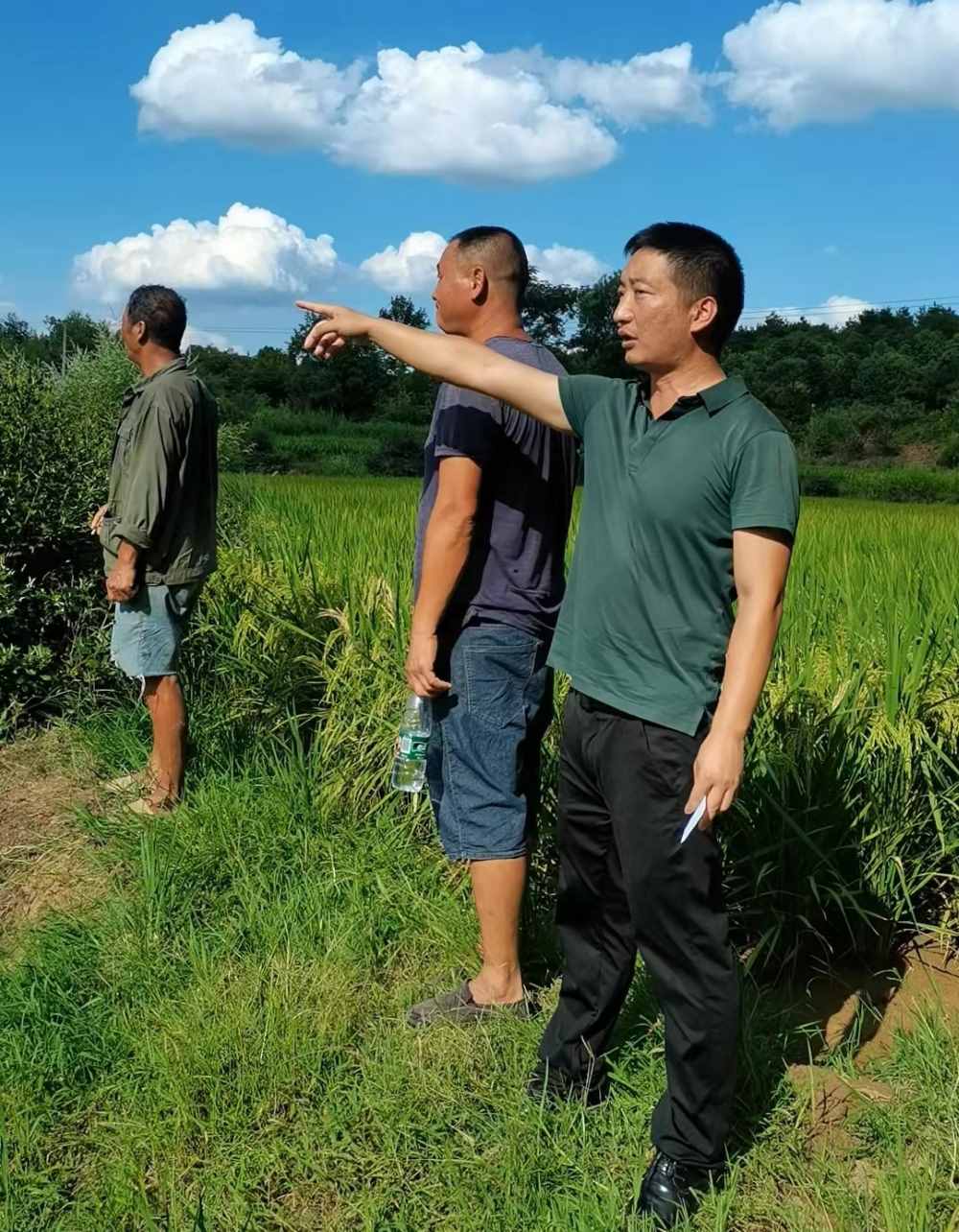 陪外来种植户流转土地。单位供图