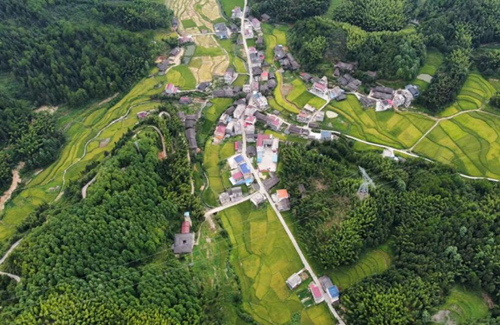 皮葉村鳥瞰圖。受訪單位供圖