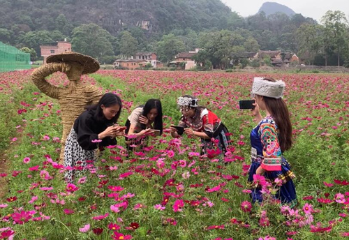游客在4A级旅游景区勾蓝瑶寨观赏花海。谢文彬摄