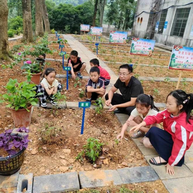 八一学校校长对学生进行药材科普。单位供图