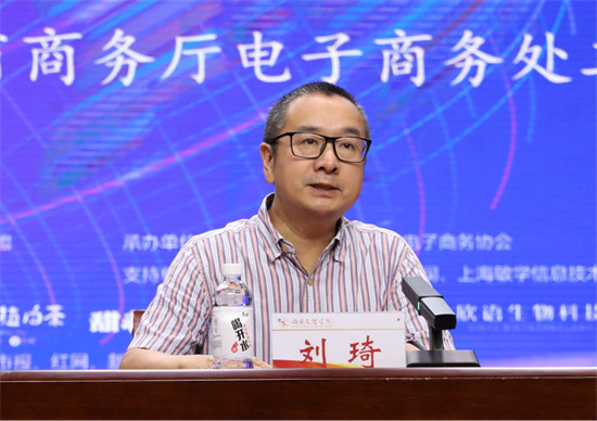 湖南省商务厅电子商务处二级调研员刘琦发表讲话。单位供图