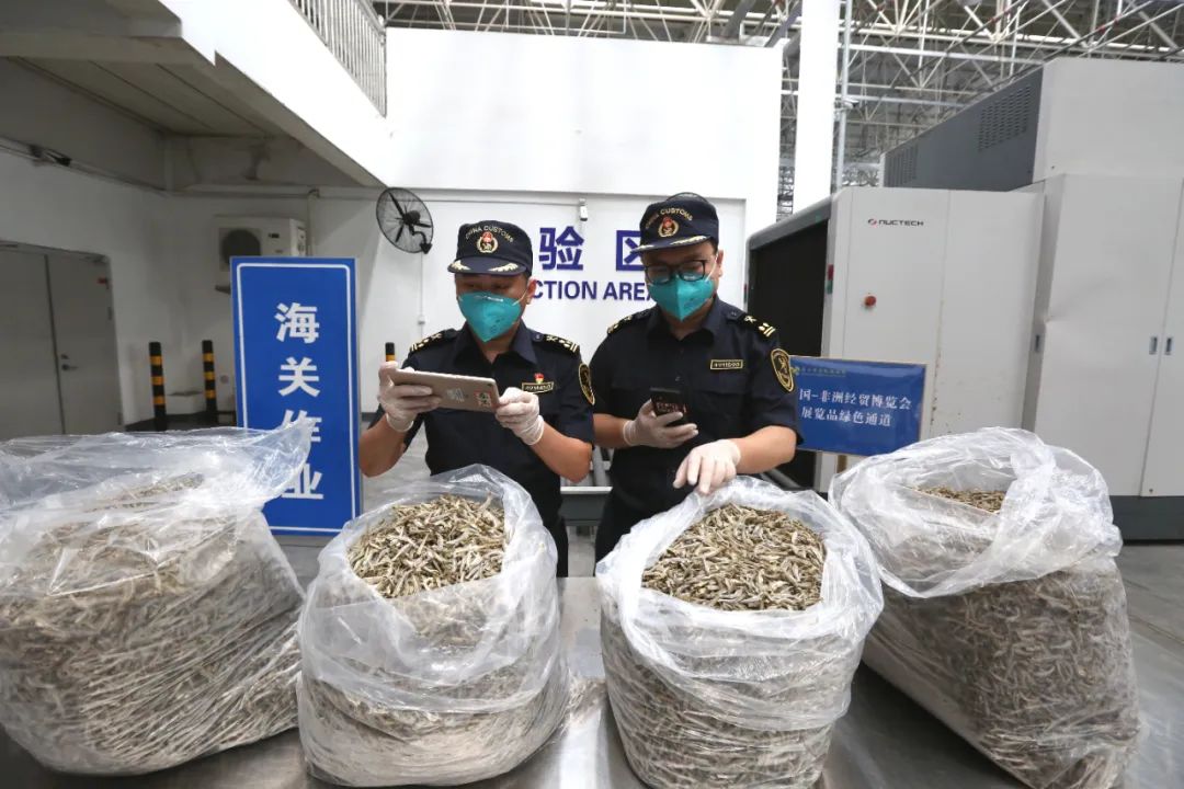 非洲肯尼亚野生鳀鱼产品。受访单位供图
