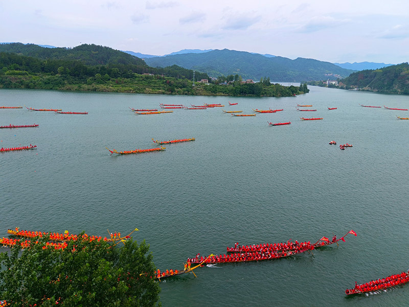 百支瑤鄉燕尾龍船齊過江。田文國攝