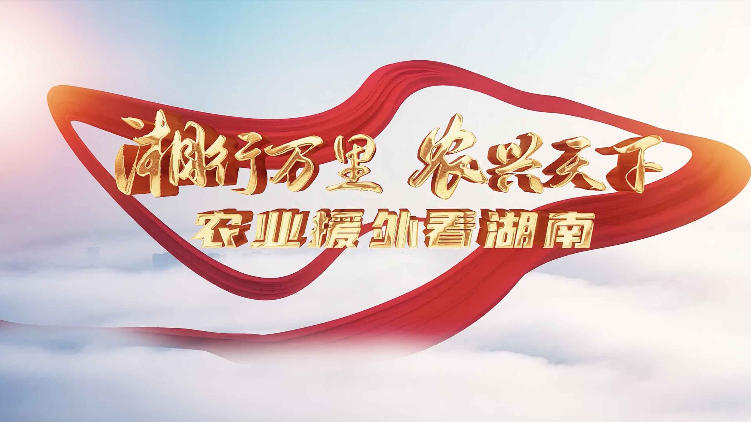 节目宣传片。单位供图